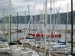 DSCN3017